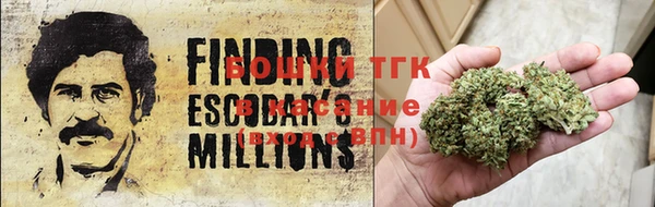 эйфоретик Строитель
