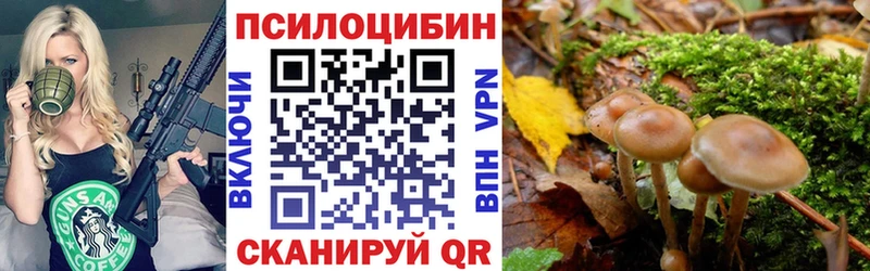 Псилоцибиновые грибы Psilocybe  гидра ссылка  Татарск 
