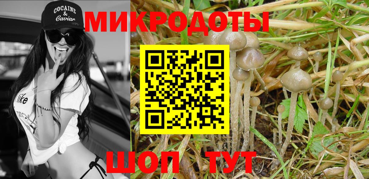 Псилоцибиновые грибы Cubensis  Псилоцибиновые грибы ЛСД  Татарск 