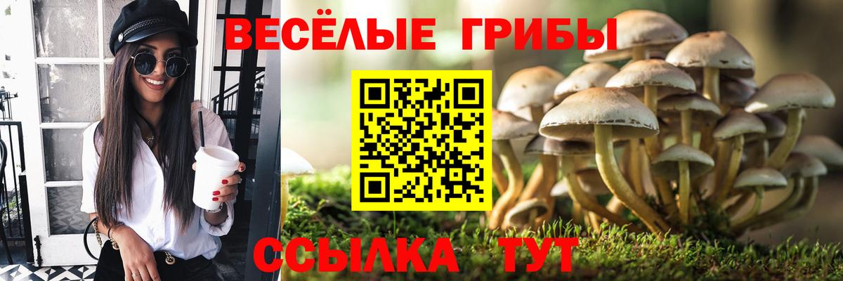 Псилоцибиновые грибы GOLDEN TEACHER Татарск